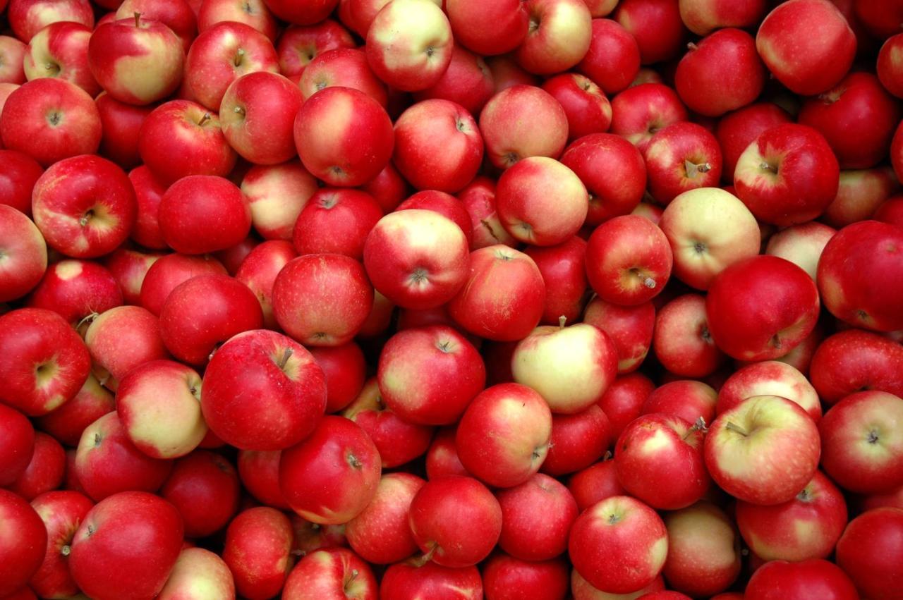 The Rotten Apple Backpackers Hastings Buitenkant foto